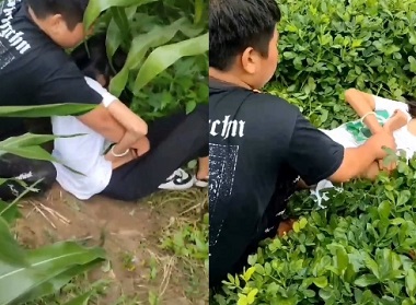 sex vn - Lũ bạn học hiếp dâm en nữ sinh
